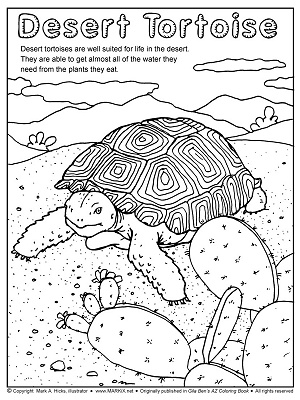 Desert Tortoise Coloring Page by Mark A. Hicks, illustrator
