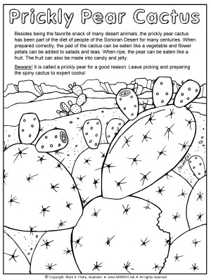Prickly Pear Coloring Page link thumbnail